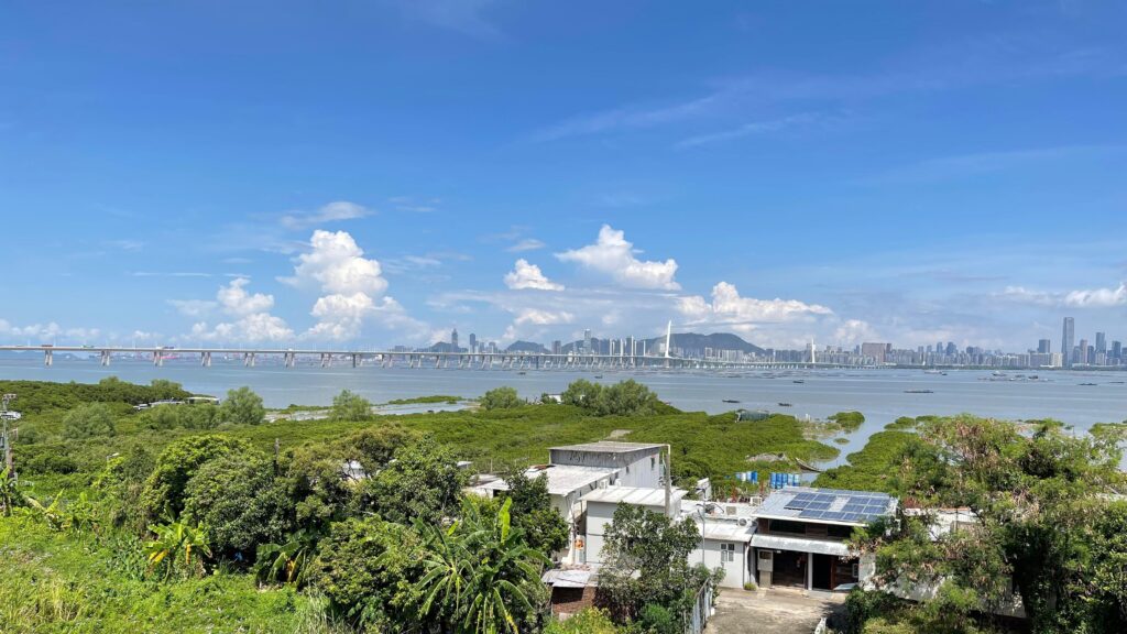 LFS - view